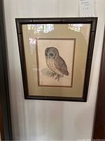 Framed original owl artwork hanging on wall with dark bamboo-style frame.