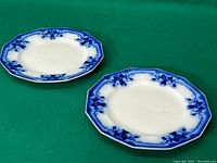 Two octagonal flow blue plates set side by side showing overall design and color.