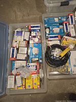 Large plastic bin filled with multiple boxed lightbulbs including CFL, LED, and incandescent types. Visible brands include Philips and Ecosmart.