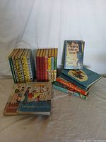 Photo showing a collection of 24 soft bound books arranged standing and stacked, including titles from youth mystery and educational genres.