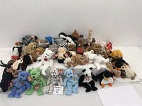 Photo showing a large assortment of Beanie Babies plush toys arranged in rows with visible Ty tags