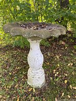 Front view of the white concrete bird bath with detailed pedestal and scalloped edge bowl filled with leaves and showing moss spots.