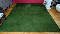 Full view of green synthetic grass shag area rug laid out on wooden floor against red wall.