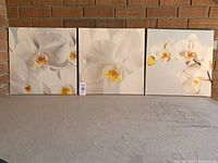 Set of three IKEA canvas artworks featuring white orchids laid out on floor against brick wall to show the entire lot.