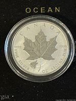 Front of 2016 Canadian Silver Maple Leaf coin showing detailed maple leaf with wolf privy mark.