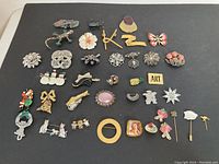 Overview of all 38 brooches and stick pins arranged on black background