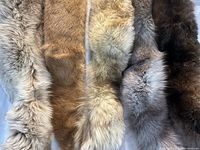 Close-up image showing the texture and colors of five lined fur stoles or neck warmers arranged side-by-side, ranging from light gray to dark brown.
