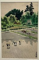 Close-up of foreground planters in water reflecting sky