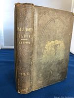 Front cover and spine view showing embossed and gilded cloth binding, author and title on spine.