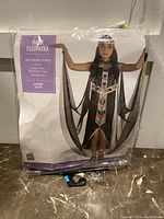 Packaging showing the full costume worn by a model: a dark dress with a colorful Egyptian collar with attached cape and headpiece.