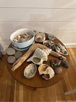 Overview of table holding assortment of seashore finds including shells, driftwood, rocks, coral, and decorative lighthouse.
