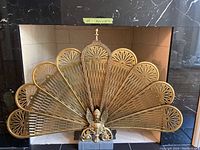 Front view showing the full brass fireplace cover designed as a peacock with tail feathers spread out.