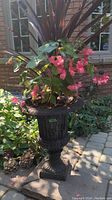 Full view of the black decorative garden urn planter with a pink flowering plant inside, showing the urn's classical design and the plant's flowers and foliage in outdoor setting.