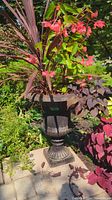 Full view of the garden urn planter showing the shape, plants, and outdoor setting.