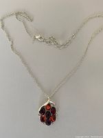 Photo showing the full view of the necklace chain and the pendant showcasing the red and orange gemstones cluster set in silver.