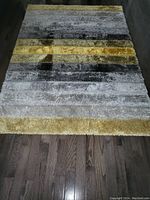 Photo showing full view of rectangular shag rug on wood floor displaying color and pattern details.