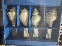 Four seashell-shaped handles on metal spreader blades in blue storage tray