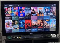 Sony Bravia TV screen showing movie selection interface with various popular titles and Roku UI elements.