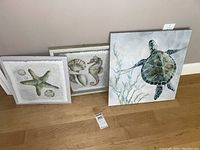 Three framed sea life prints placed on floor against wall: turtle, starfish with shells, seahorse with shells