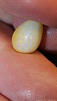Close-up image of a pear-shaped natural Ethiopian opal cabochon held between fingers, showing multicolored iridescence with a smooth polished surface.