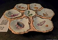 Full view of oyster plate showing all wells and overall shape