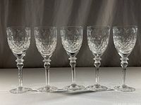 Front view of the five identical Rogaska crystal goblets lined up, showing height and matching pattern.