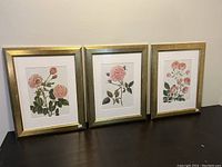 Three gold framed botanical rose prints shown side by side on a dark surface against a plain wall.