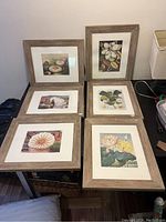 Six framed botanical prints arranged in two rows of three on a table, showing size and frame style.