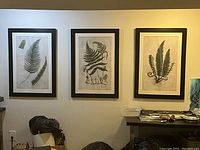 Photo showing three botanical fern prints in black distressed frames hung on a wall above furniture.