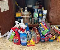 Wide view of assorted cleaning products, spray bottles, disposable bags, and cleaning pads arranged in front of cabinet and inside wire holder.