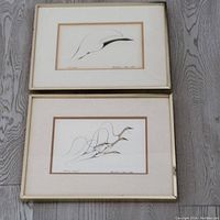 Overall view of both framed prints laid on floor, showing full frames and artwork.