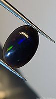Close-up of oval black opal gemstone held in tweezers, showing green and blue color flashes on the dark body.