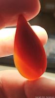 Shown held between fingers backlit to reveal translucent nature and color gradient of red to orange in pear-shaped carnelian cabochon.
