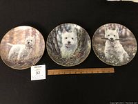 Photo of all 3 West Highland Terrier Danby Mint plates arranged horizontally with ruler and lot label showing scale and identifier