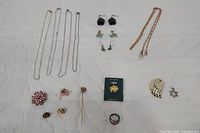 Photo showing all jewelry pieces laid out, includes necklaces, earrings, pins and rings.