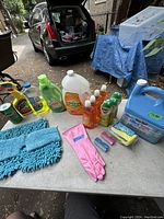 Image showing multiple cleaning product bottles, gloves, and microfiber mop pads laid out on a table in outdoor setting.