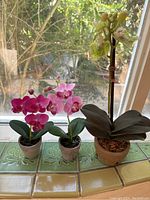 Front view of all three small faux orchids placed on a windowsill with natural light showing detail of flowers and pots.