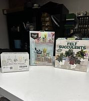 Photo showing the three craft kits boxed and unopened on a table: Mini Sand Art, Felt Succulents, and More Than Macrame.