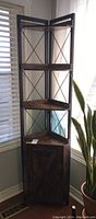 Full view of corner shelf with cabinet showing metal frame and wood shelves in room corner near window and plant.
