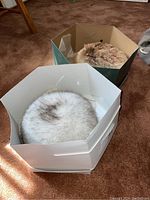 Two fox fur hats in separate boxes. One lighter gray/white tone in a white box, second darker fox fur hat in green box.