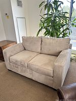 Light beige two-seater sofa placed by a window with a plant in the background. Shows full front angle of sofa including cushions and armrests.