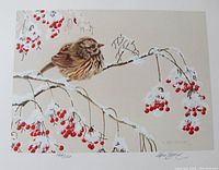 Close-up image of the numbered print showing the song sparrow on snowy branches with red berries, with numbering and artist signature visible.
