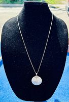 Full view of the necklace displayed on a black stand outside with the round pendant hanging centered.