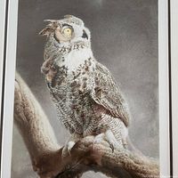 Close-up of the art print showing the Great Horned Owl perched on a branch with detailed feather texture and yellow eyes.
