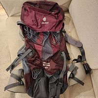 Front view of the maroon Deuter backpack showing top lid, multiple compartments, and straps.
