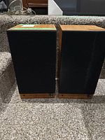 Front view of both speakers with grille covers and wood veneer top and sides