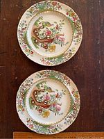 Pair of two 9 inch decorative plates with Asiatic pheasant pattern seen from top, showing floral rims and bird with flowers at center.