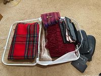 Various scarves including a red tartan wool scarf and a purple/red cashmere scarf, along with assorted leather gloves and mittens.