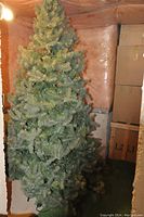 Full view of artificial Christmas tree showing height and fullness