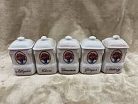 Front view of five ceramic spice containers with floral decals labeled Allspice, Cloves, Cinnamon, Ginger, Nutmeg.